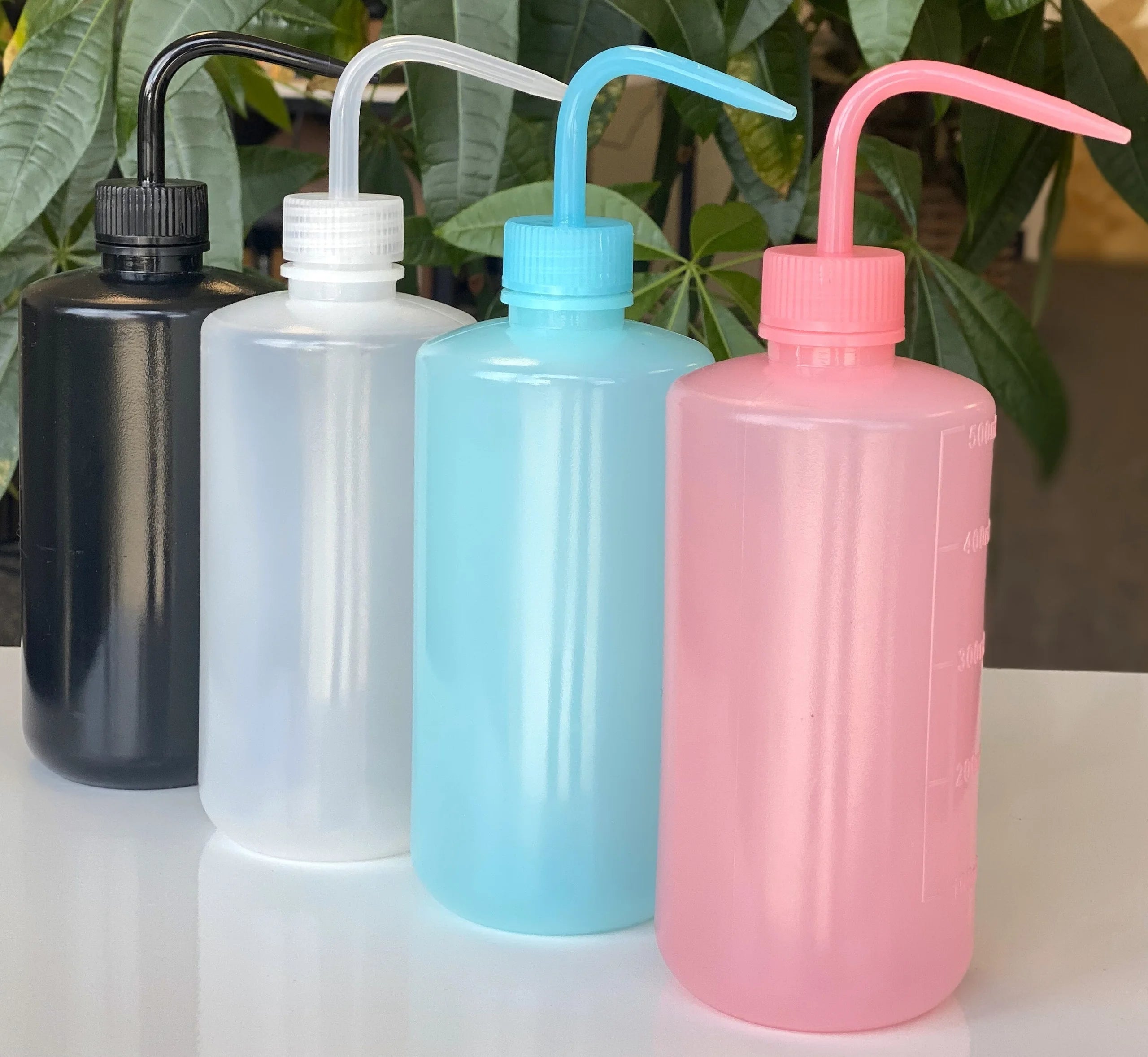 succulent watering bottle near me Succulent Water Bottle
