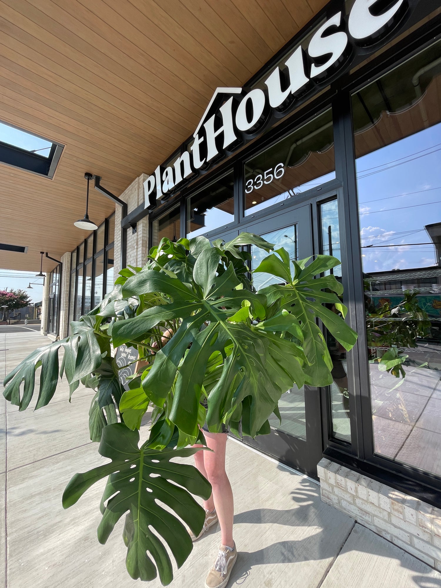 PlantHouse Richmond, VA DIY & House Plant Store